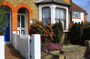 Home buyer and Conditioning Survey